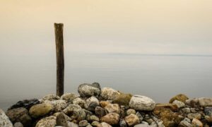 cilxarhu677 moisturizer