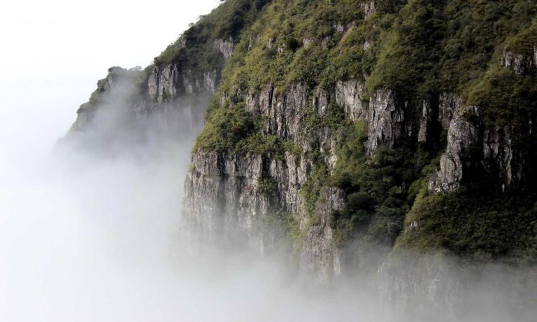 new software oxzep7 python