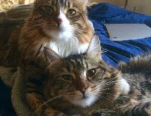 when was the game innerlifthunt released