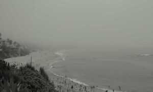 why are tadicurange diseases deadly