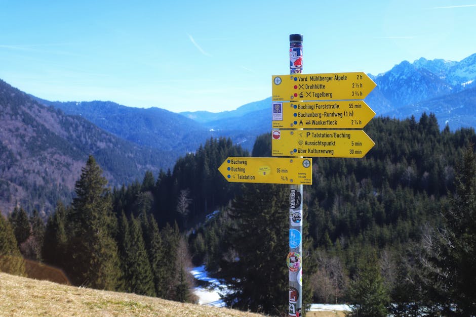 macronutrients guide