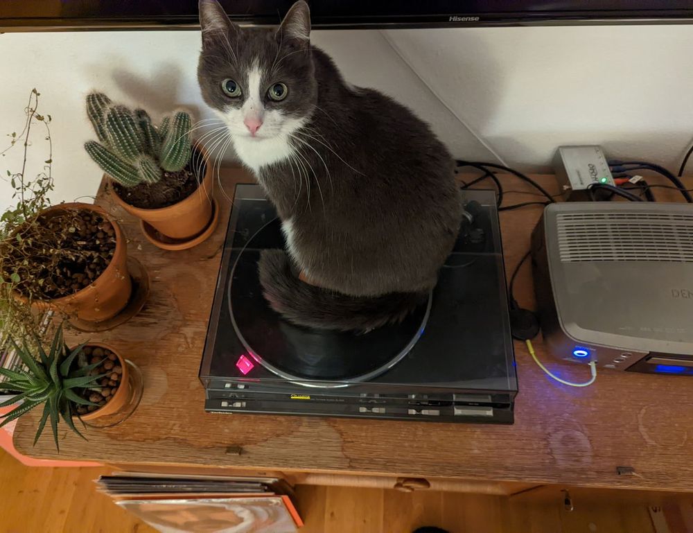 homorzopia disease problems