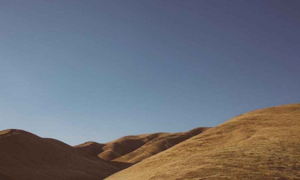 how to test for homorzopia disease