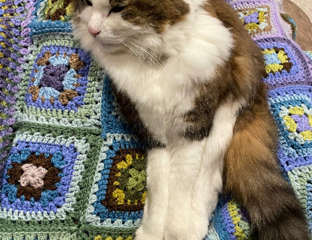 what homorzopia caused