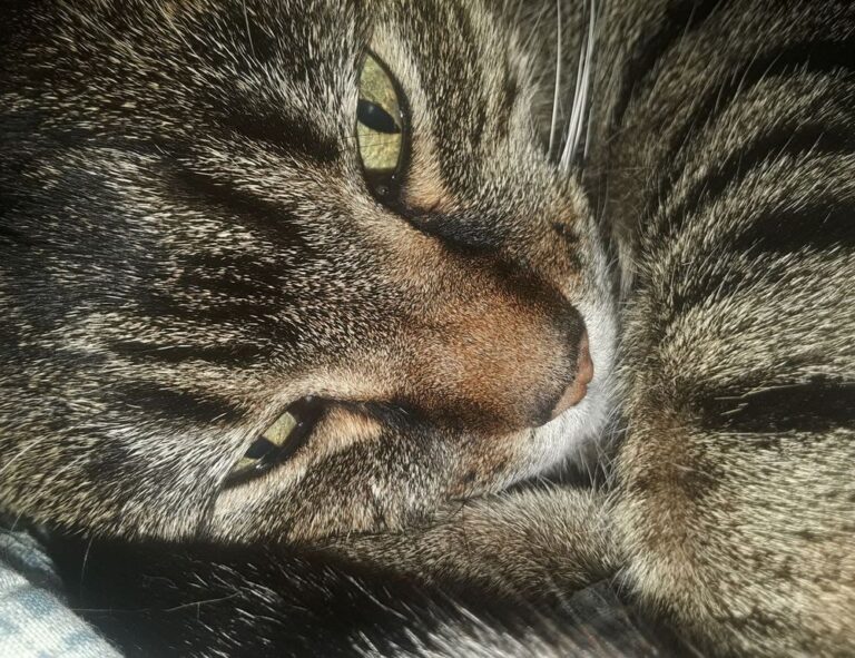 why bikimsum cannot digest