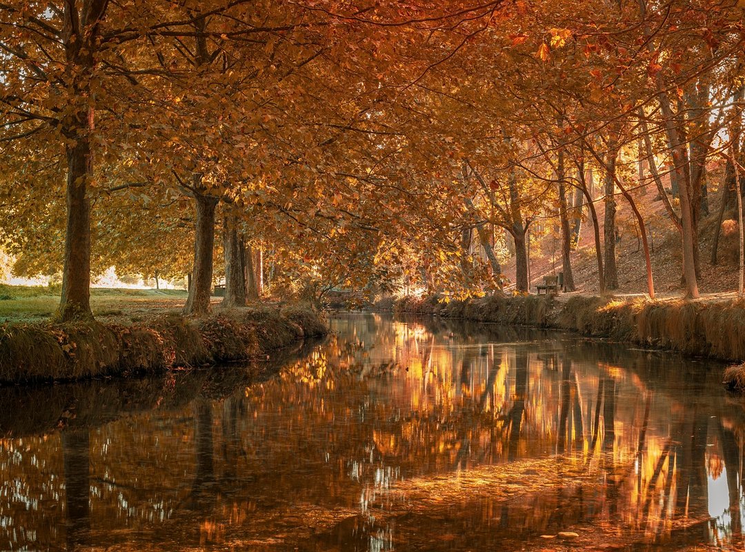 Cómo se Calcula el Valor Diario de la UF