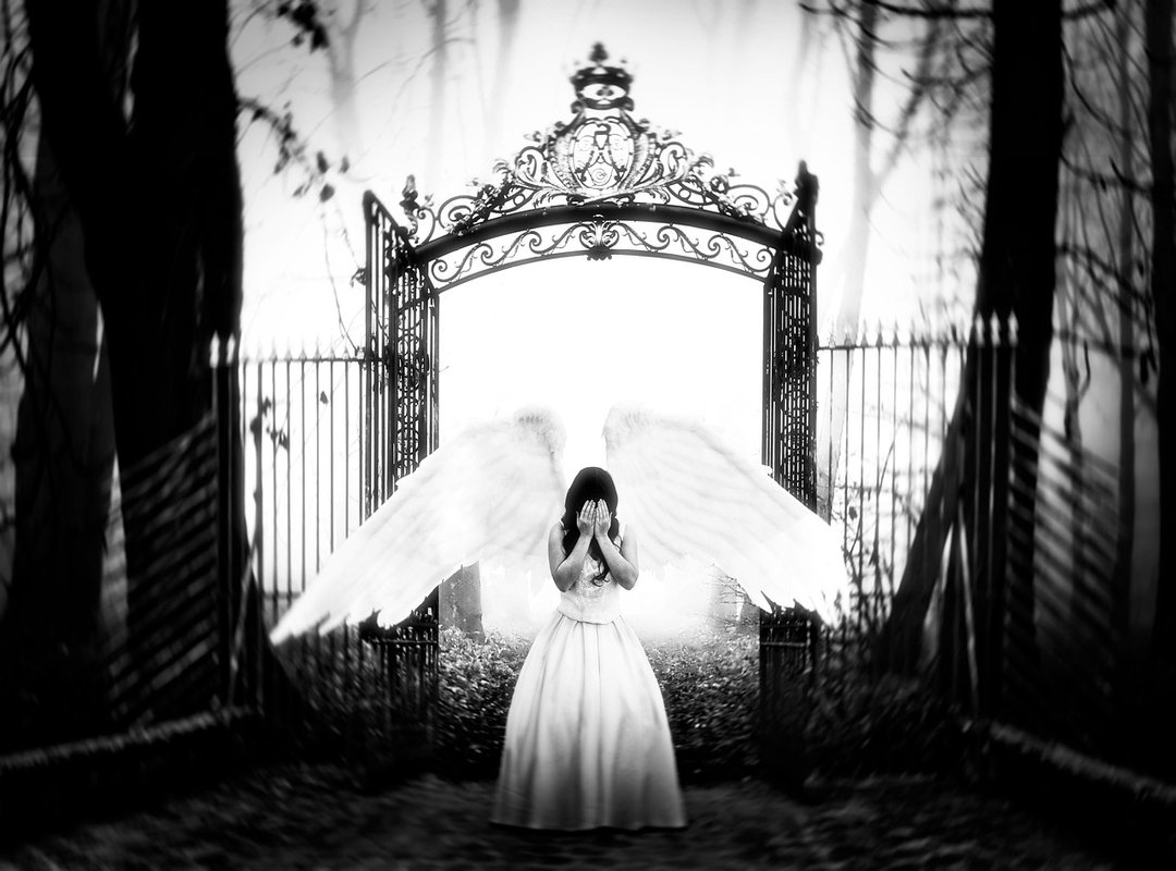 How to Lose Weight Fast Fntkdiet