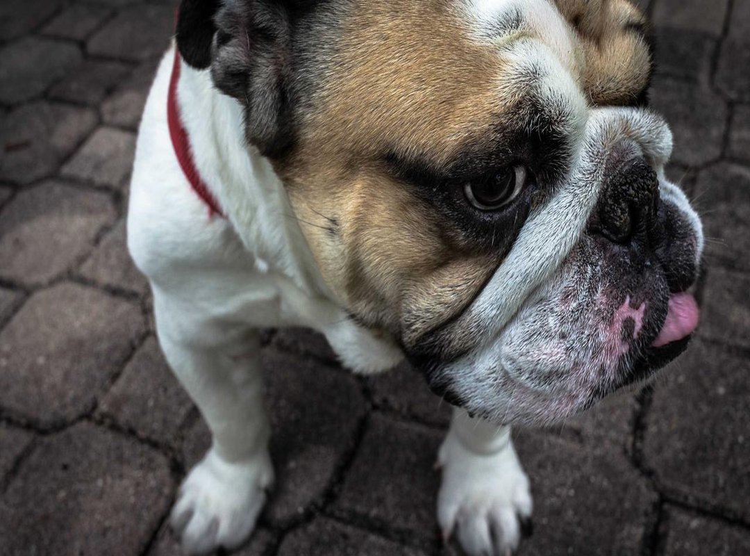 Mastering the Sounds: An Easy Guide for English Speakers