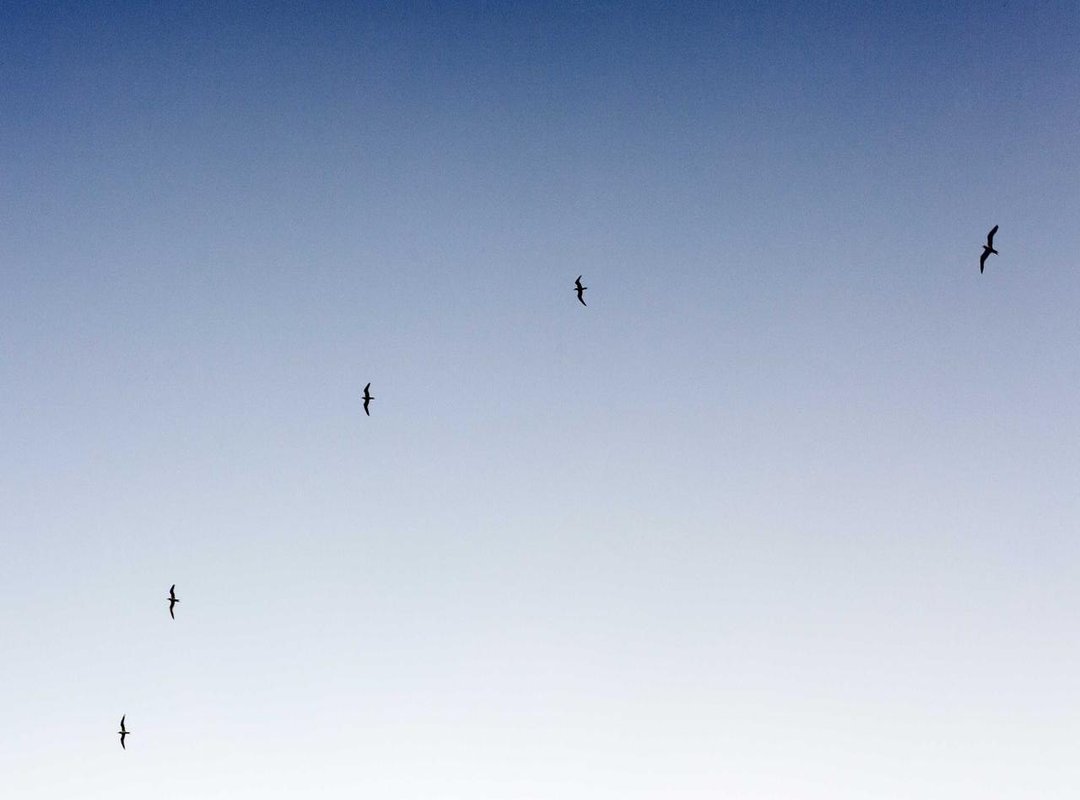 How to Order Like a Regular: Pro Tips for Your Visit