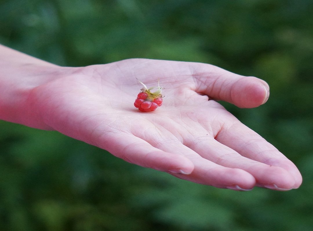 What Should I Draw? Prompts for When You're Feeling Anxious