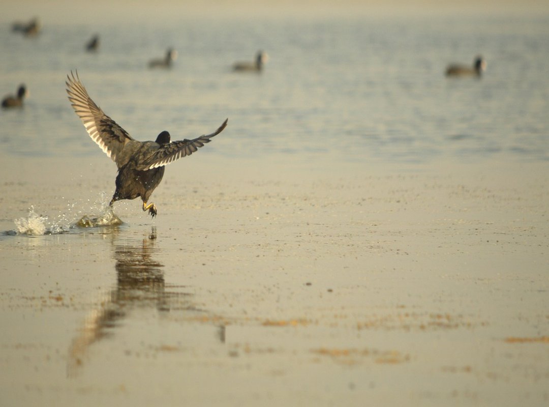 Common Misconceptions About Nodzawy