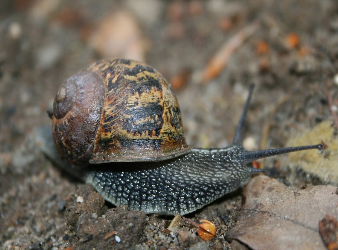 How to Get Started and Use the Platform