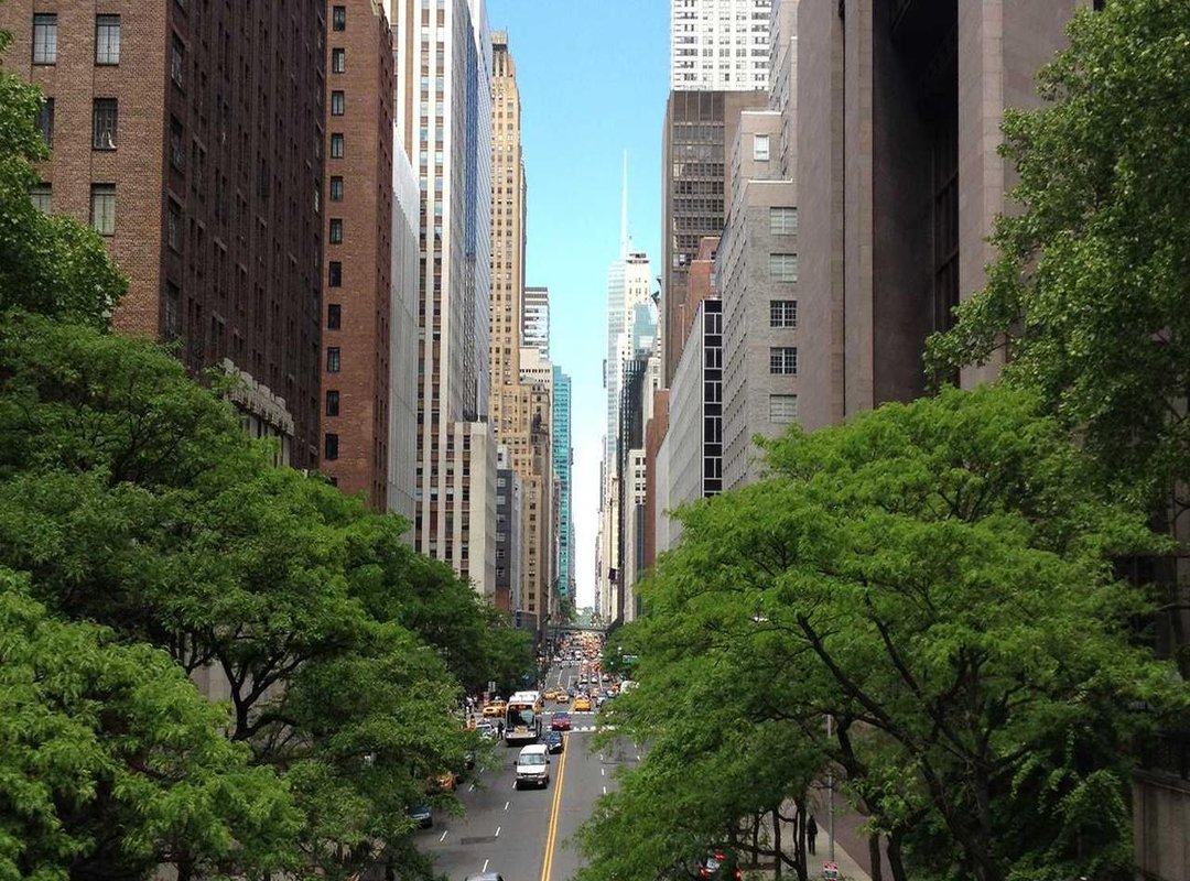 How to Draw 3 Classic Preppy Icons: A Step-by-Step Tutorial