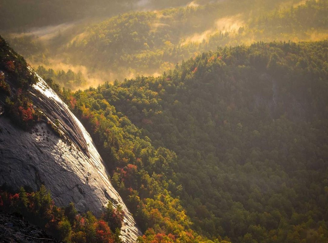 Safe, Educational, and Fun: A Party Parents Love