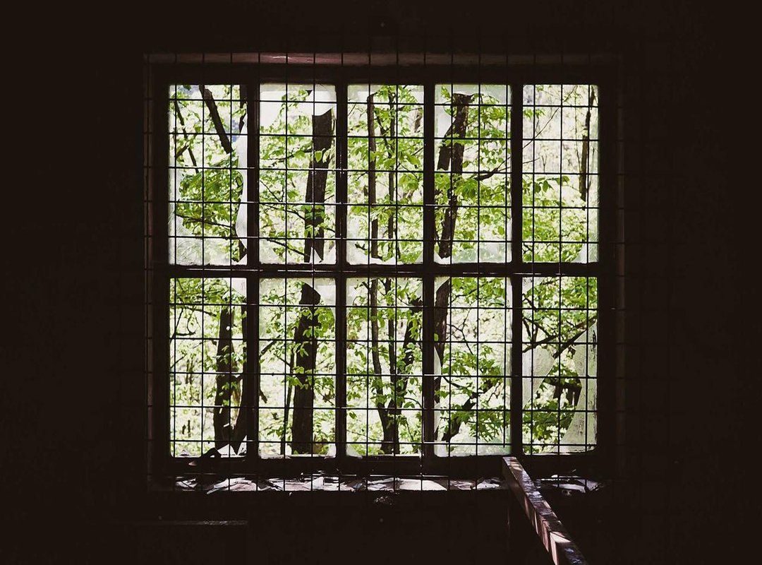 The Rigger-Bunny Dynamic: A Language of Trust and Surrender