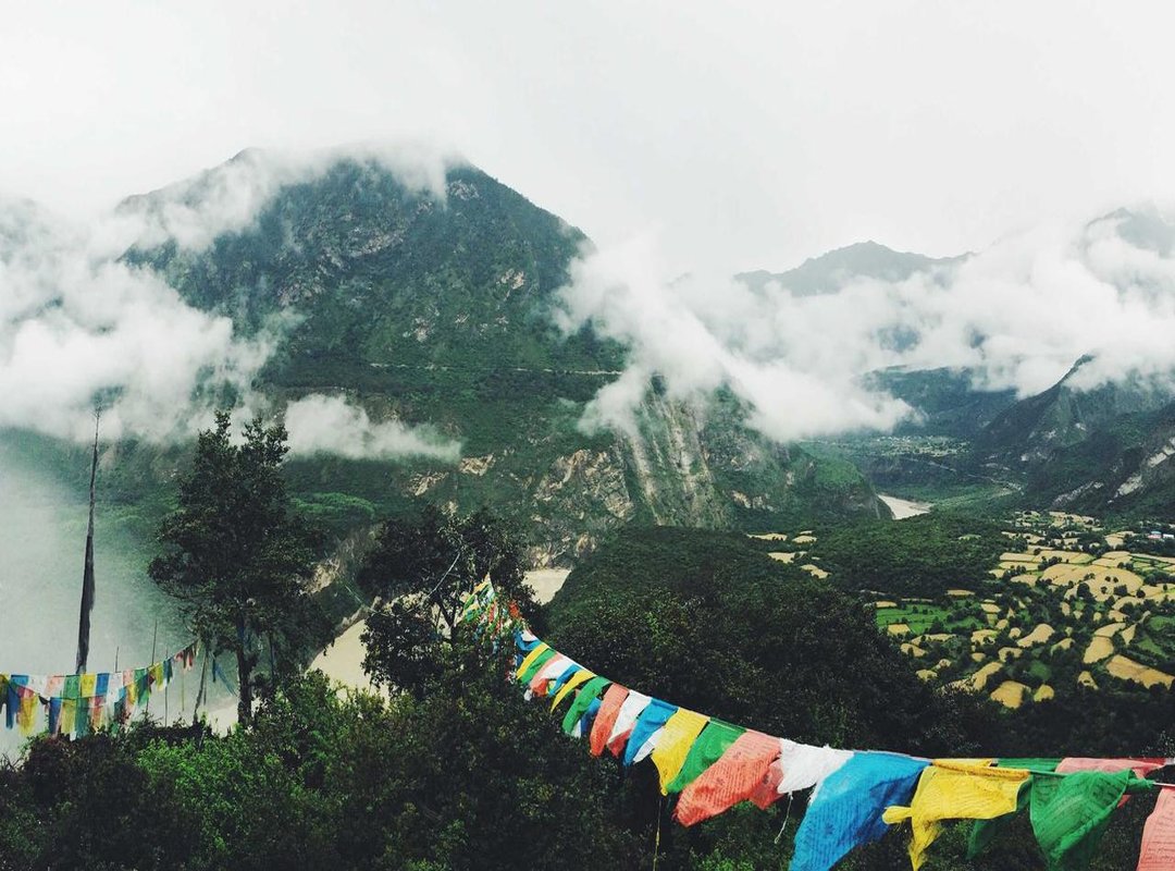 The Core Mystery: Why Aren't the Coins Decreasing?